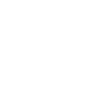 Polygon shape